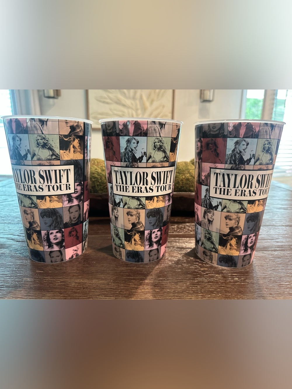 Taylor Swift Eras Tour Cups(3)